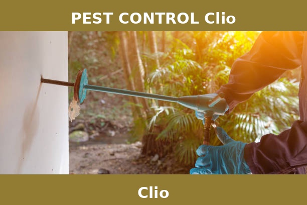 PEST CONTROL Clio